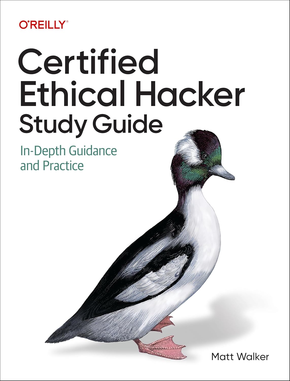 Certified Ethical Hacker (Ceh) Study Guide: In-Depth Guidance and Practice
