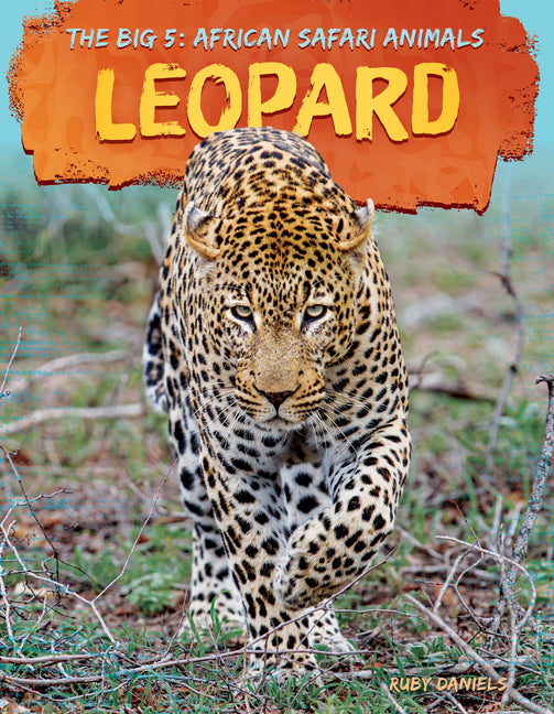 Leopard