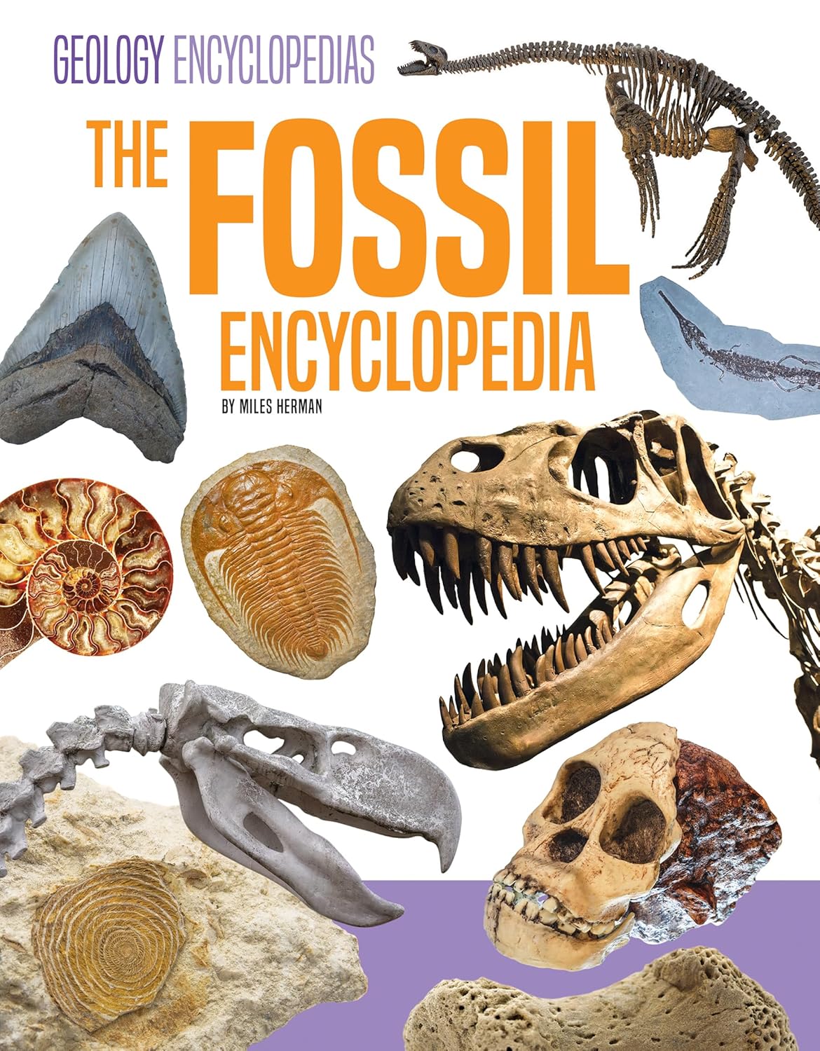 Fossil Encyclopedia
