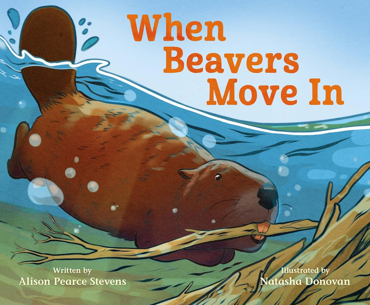 When Beavers Move in