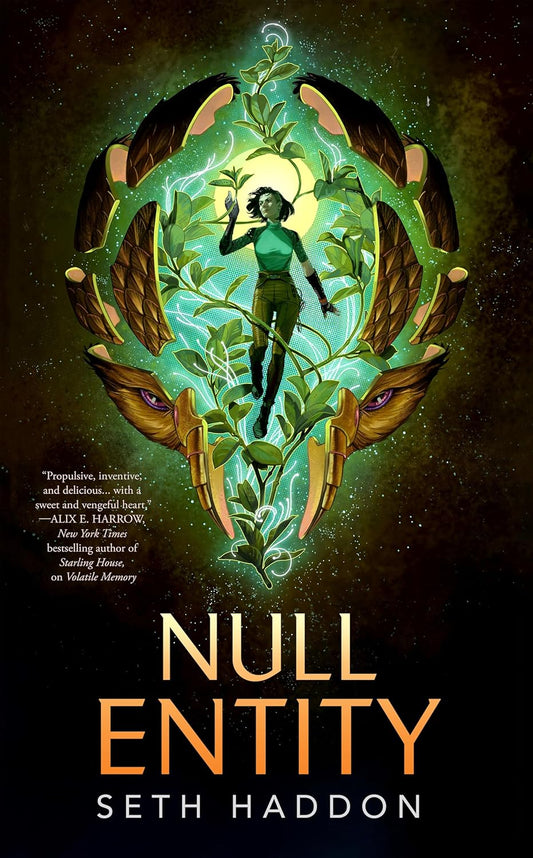 Null Entity