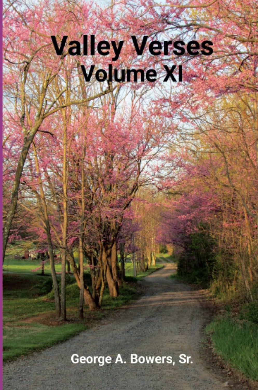 Valley Verses Volume XI