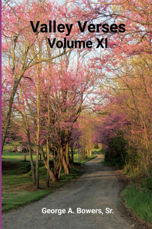 Valley Verses Volume XI