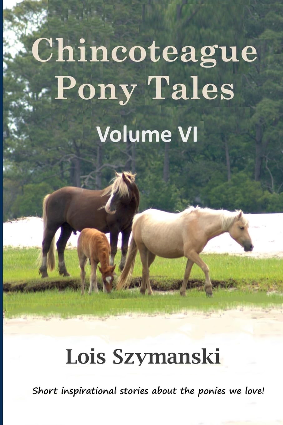 Chincoteague Pony Tales Volume VI