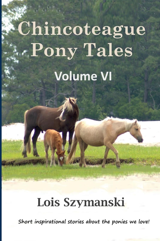 Chincoteague Pony Tales Volume VI