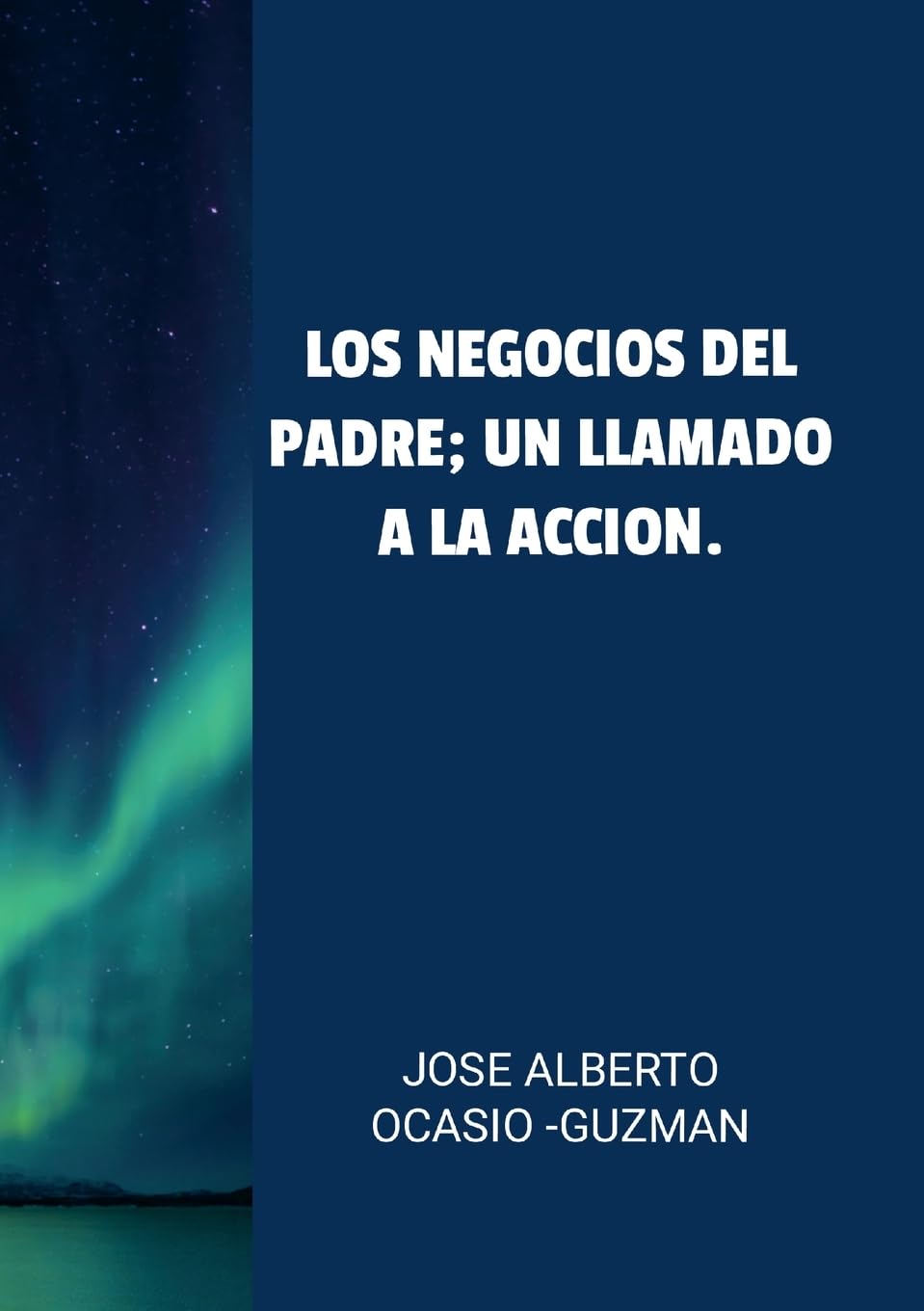"Los Negocios del Padre un llamado a la accion"