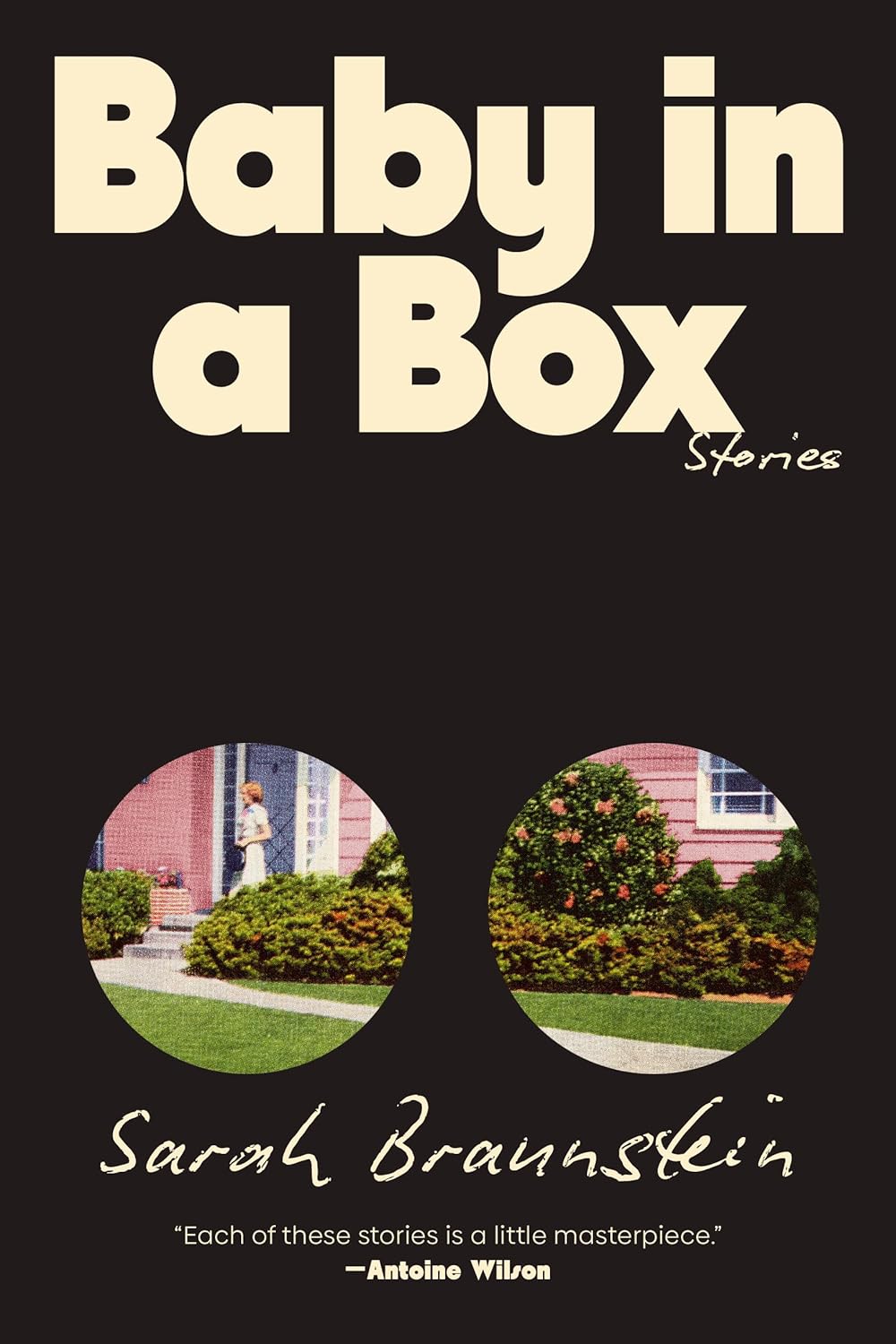 Baby in a Box: Stories