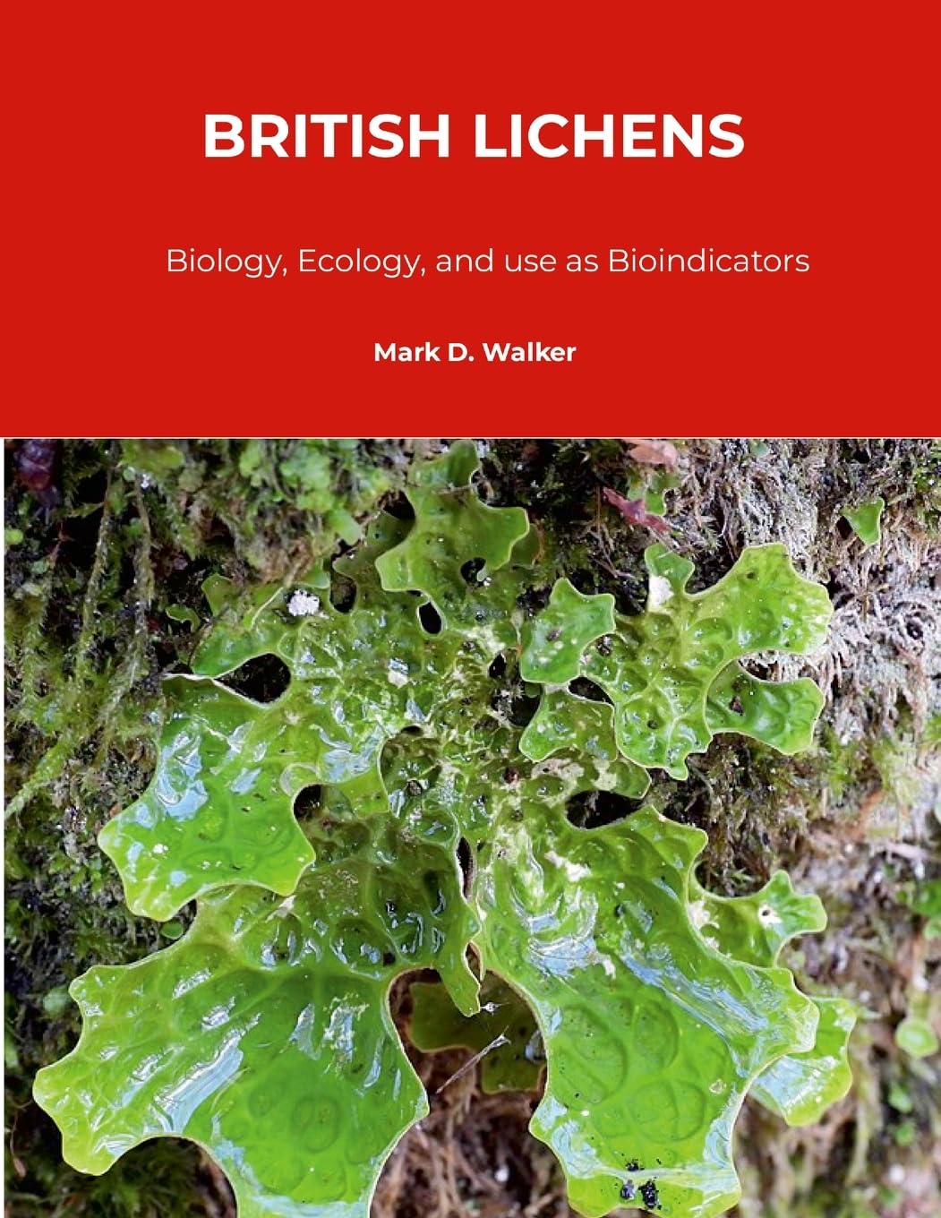 British Lichens Biology, Ecology, and use as Bioindicators