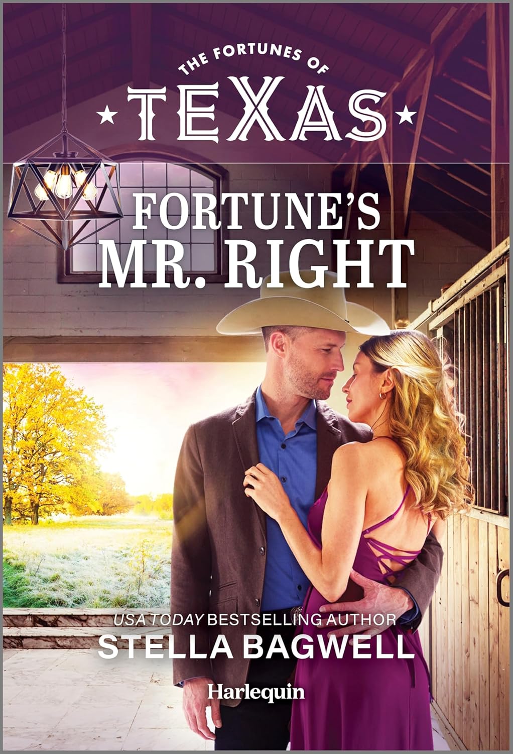 Fortune's Mr. Right (Original)