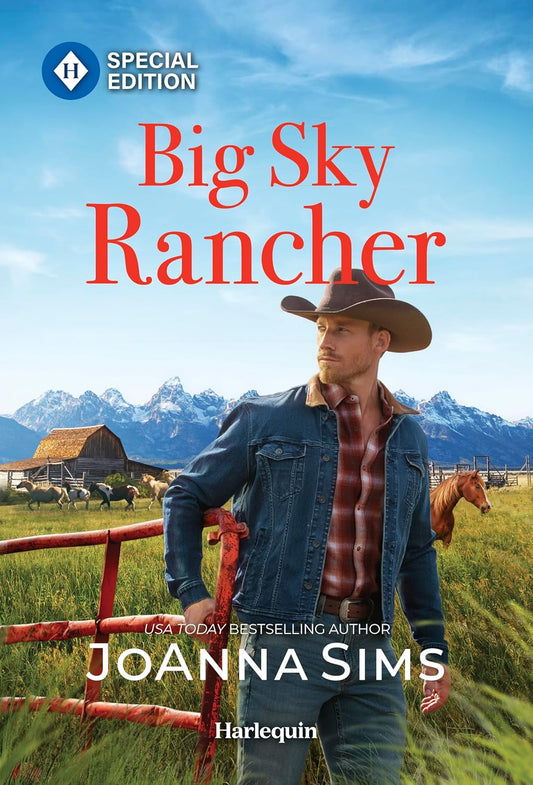 Big Sky Rancher (Original)