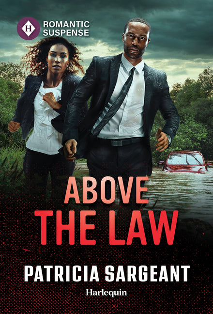 Above the Law (Original)