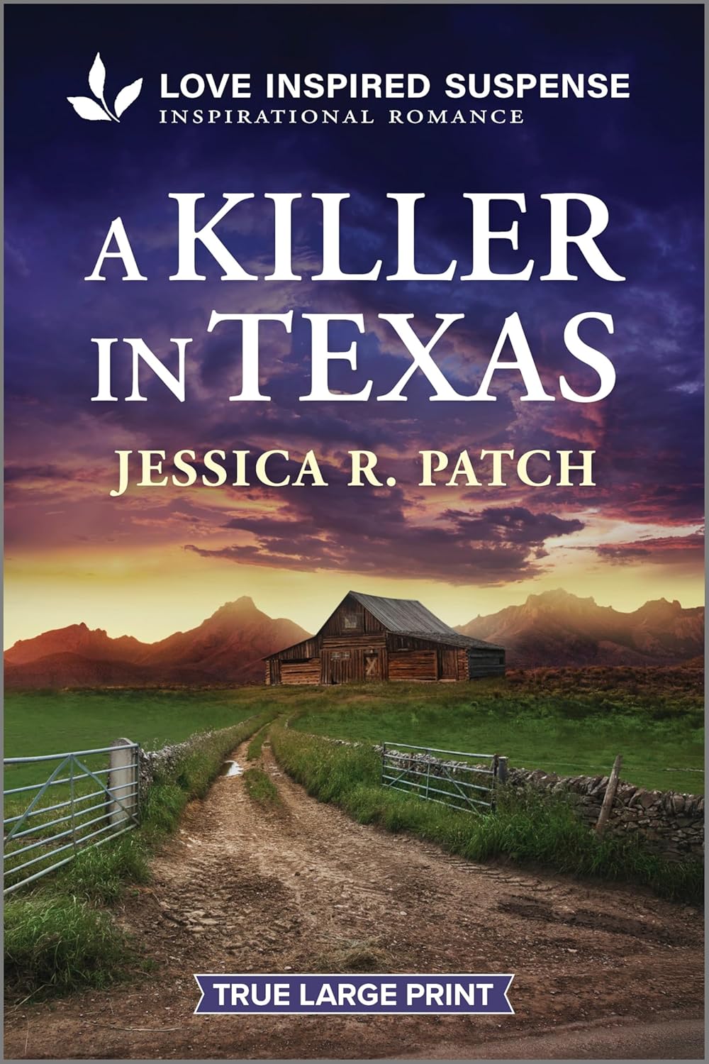 A Killer in Texas (Original)