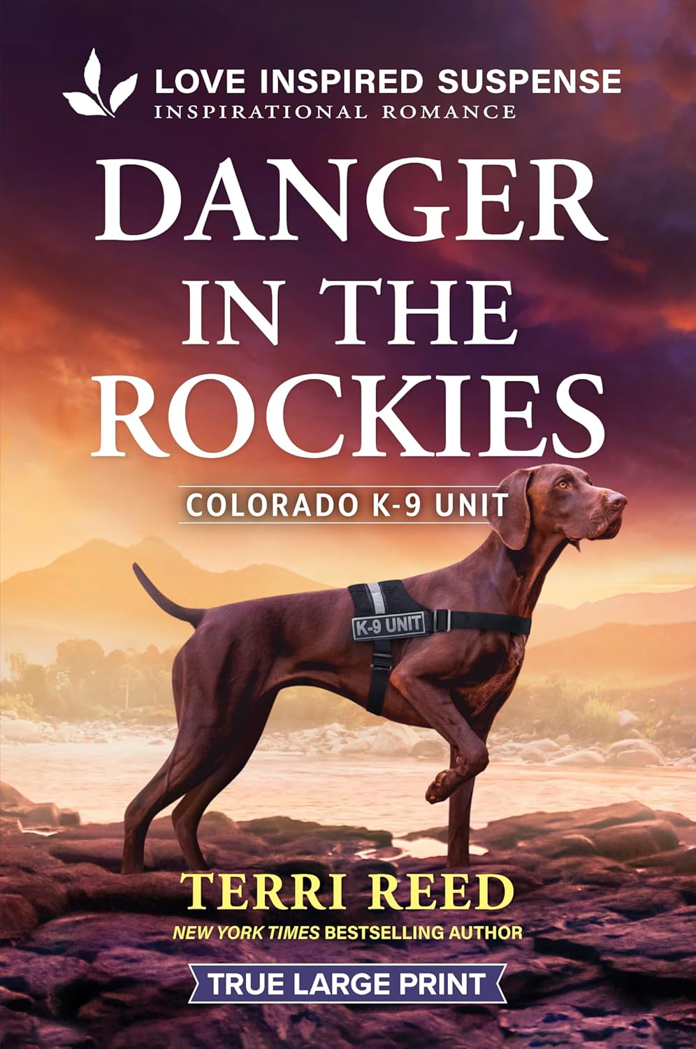 Danger in the Rockies (Original)