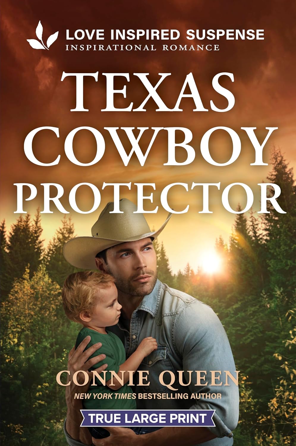 Texas Cowboy Protector (Original)