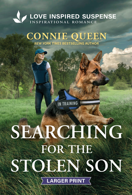 Searching for the Stolen Son (Original)