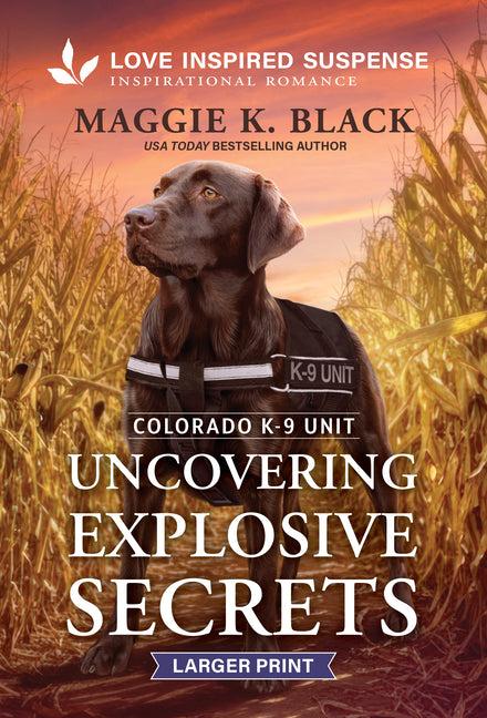 Uncovering Explosive Secrets (Original)