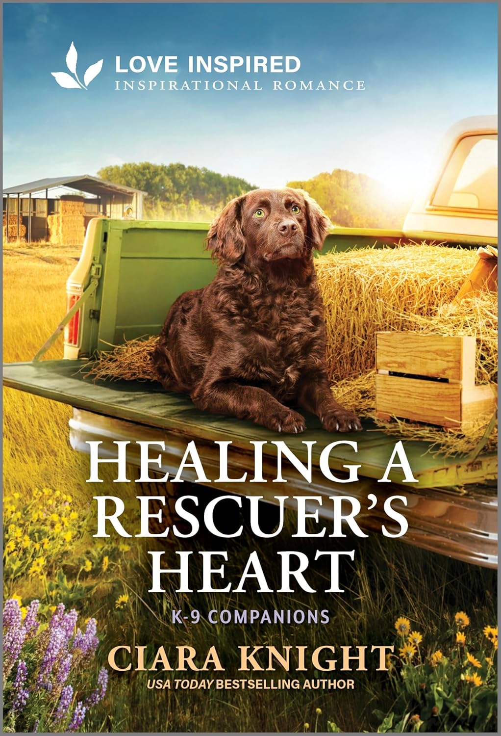 Healing a Rescuer's Heart: An Uplifting Inspirational Romance (Original)