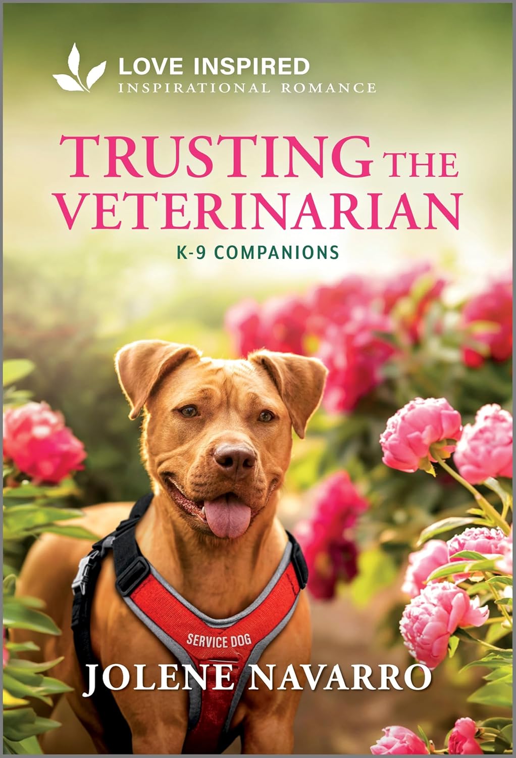 Trusting the Veterinarian: An Uplifting Inspirational Romance (Original)