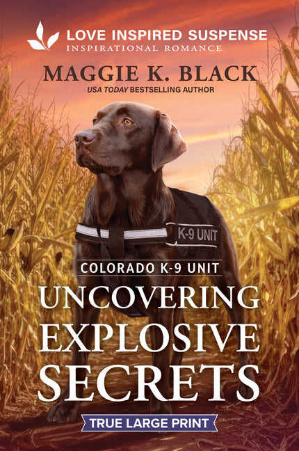 Uncovering Explosive Secrets (Original)