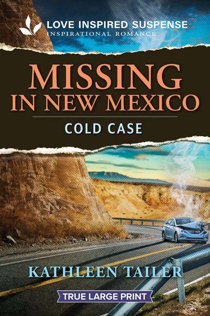 Missing in New Mexico (Original)