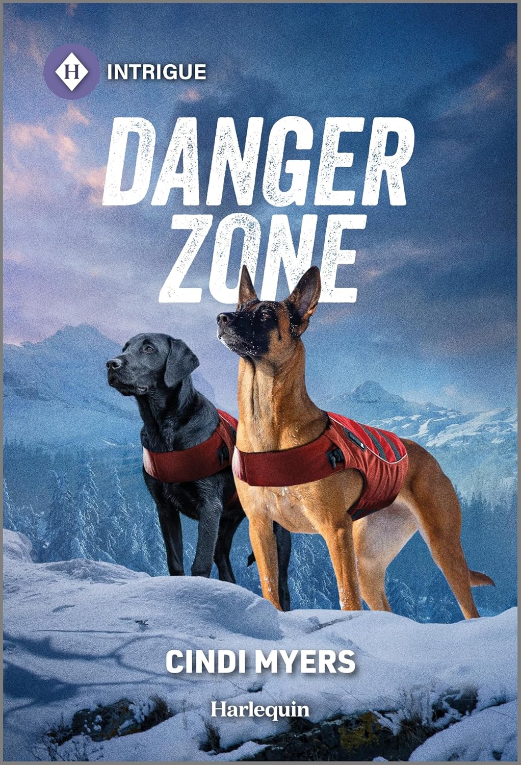 Danger Zone (Original)