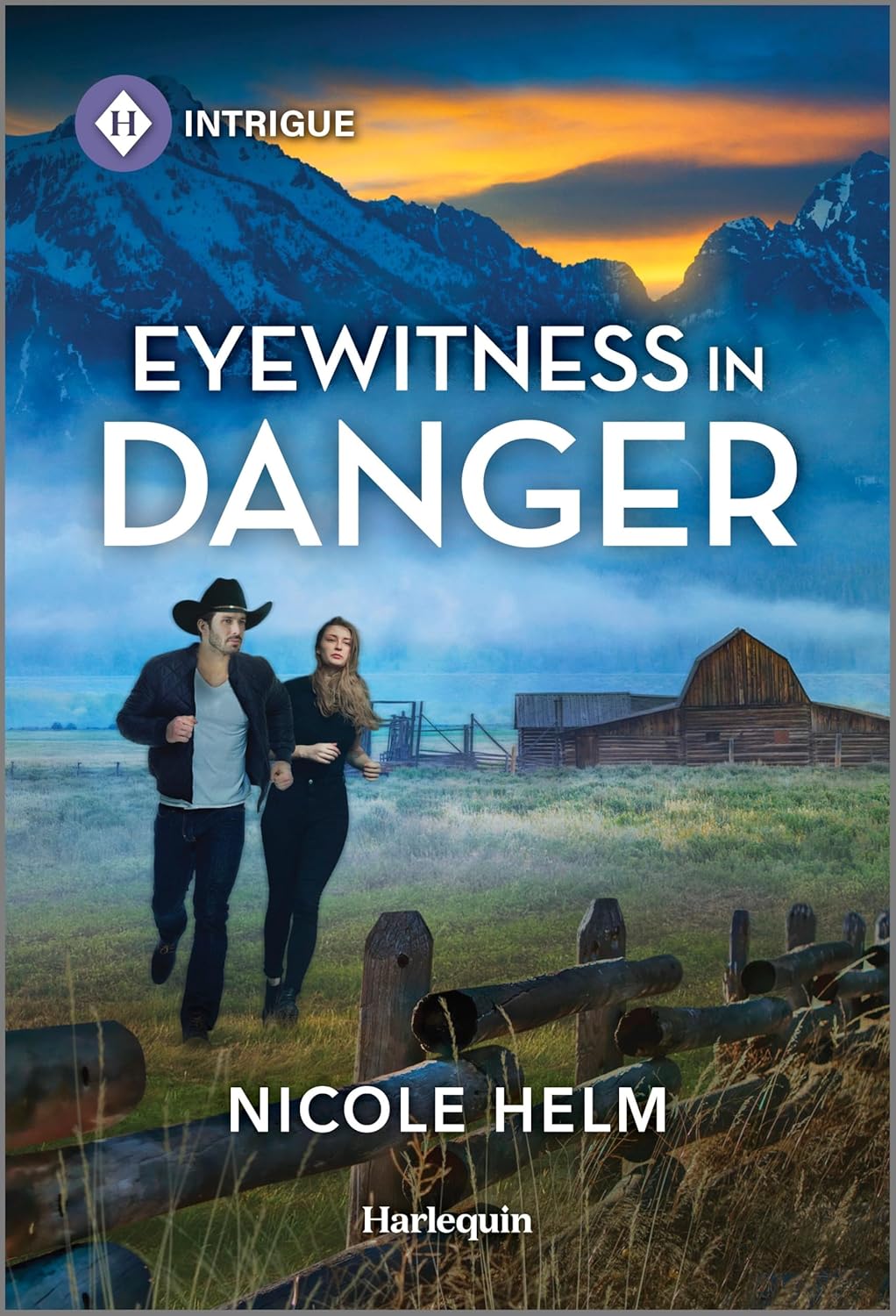 Eyewitness in Danger (Original)