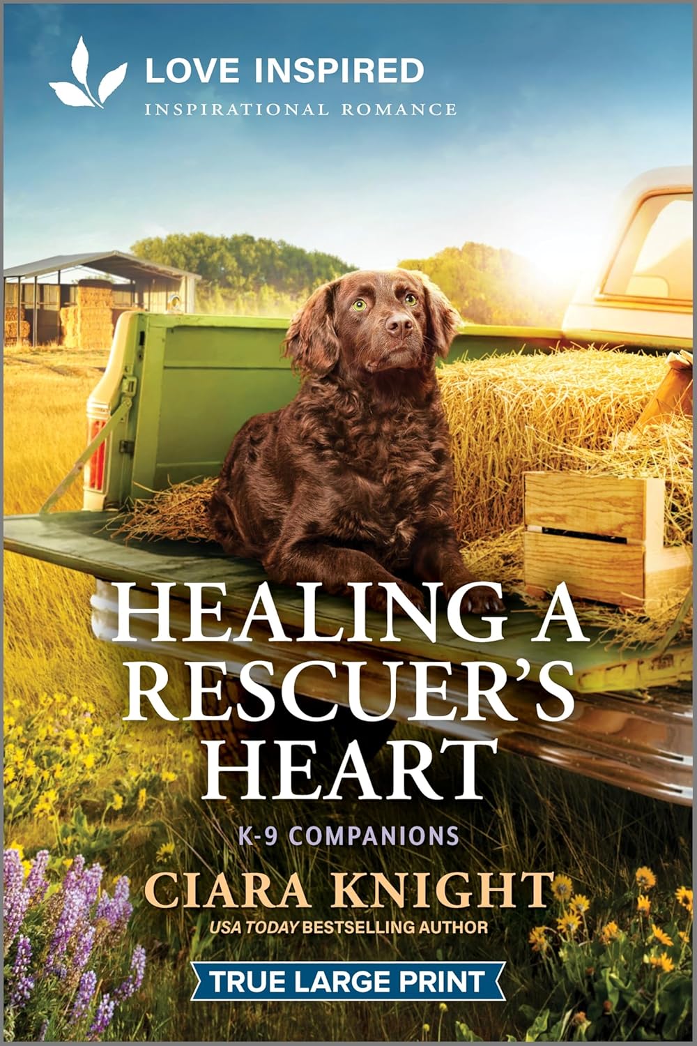 Healing a Rescuer's Heart: An Uplifting Inspirational Romance (Original)