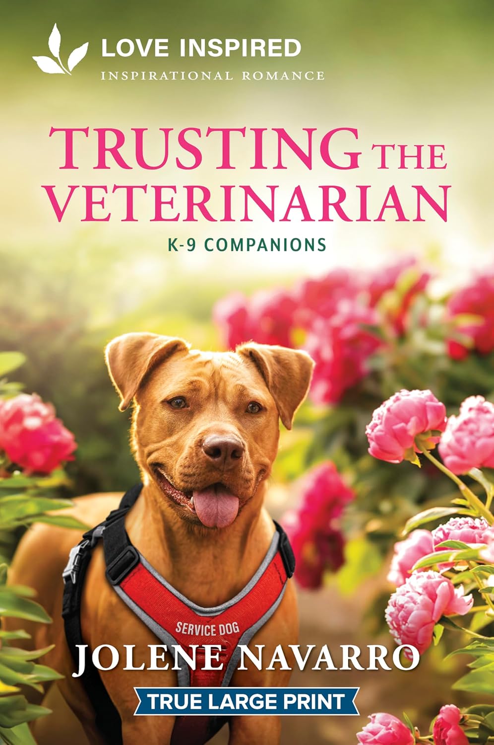 Trusting the Veterinarian: An Uplifting Inspirational Romance (Original)