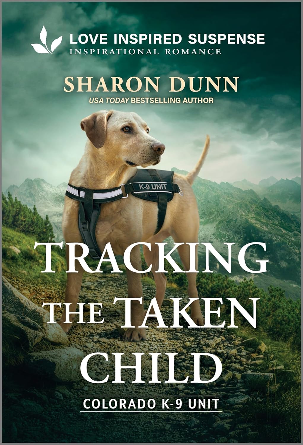 Tracking the Taken Child (Original)