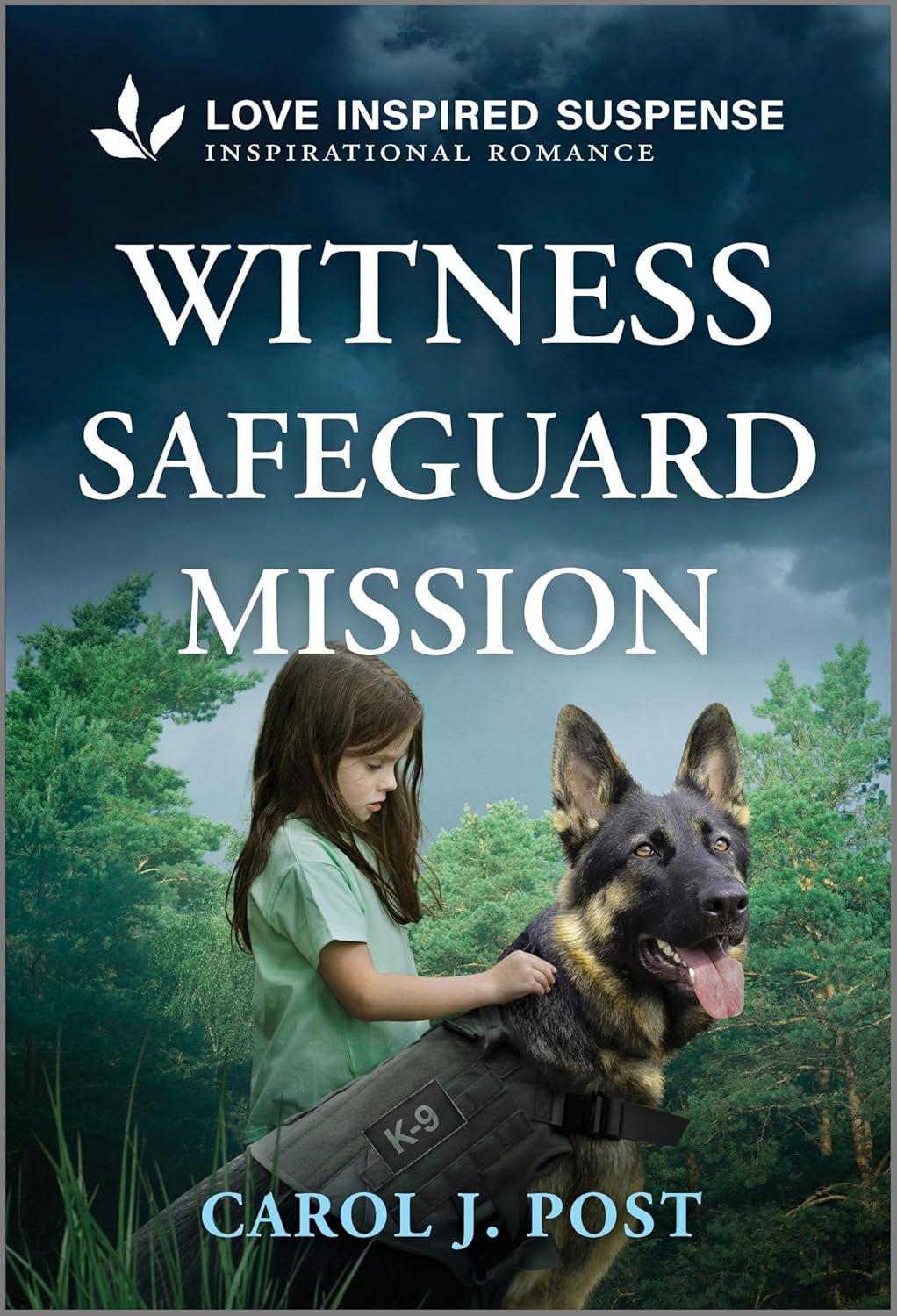 Witness Safeguard Mission (Original)