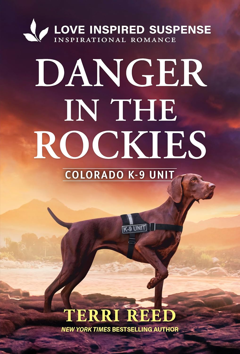 Danger in the Rockies (Original)