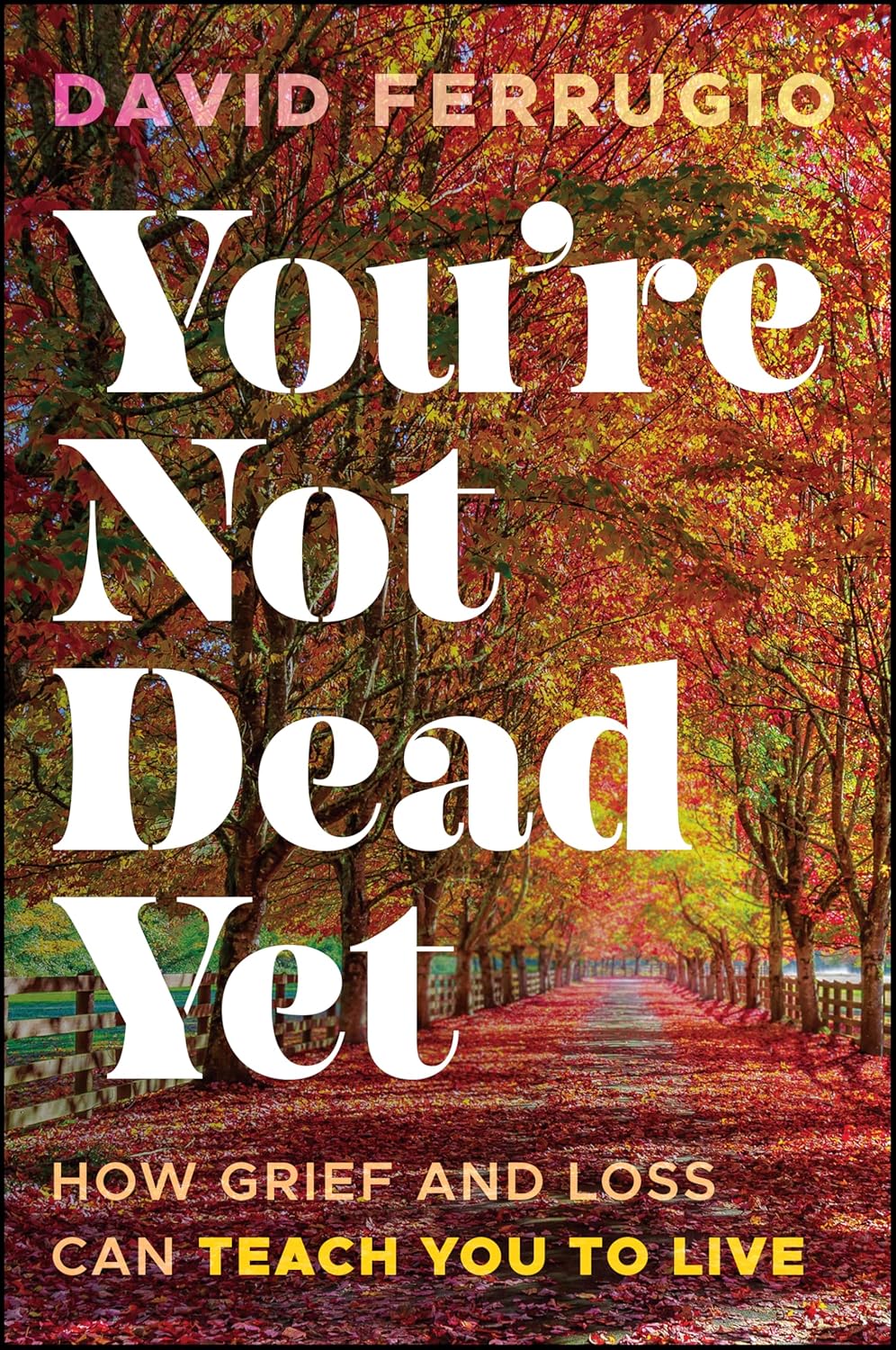 You're Not Dead Yet: How Grief and Loss Can Teach You to Live