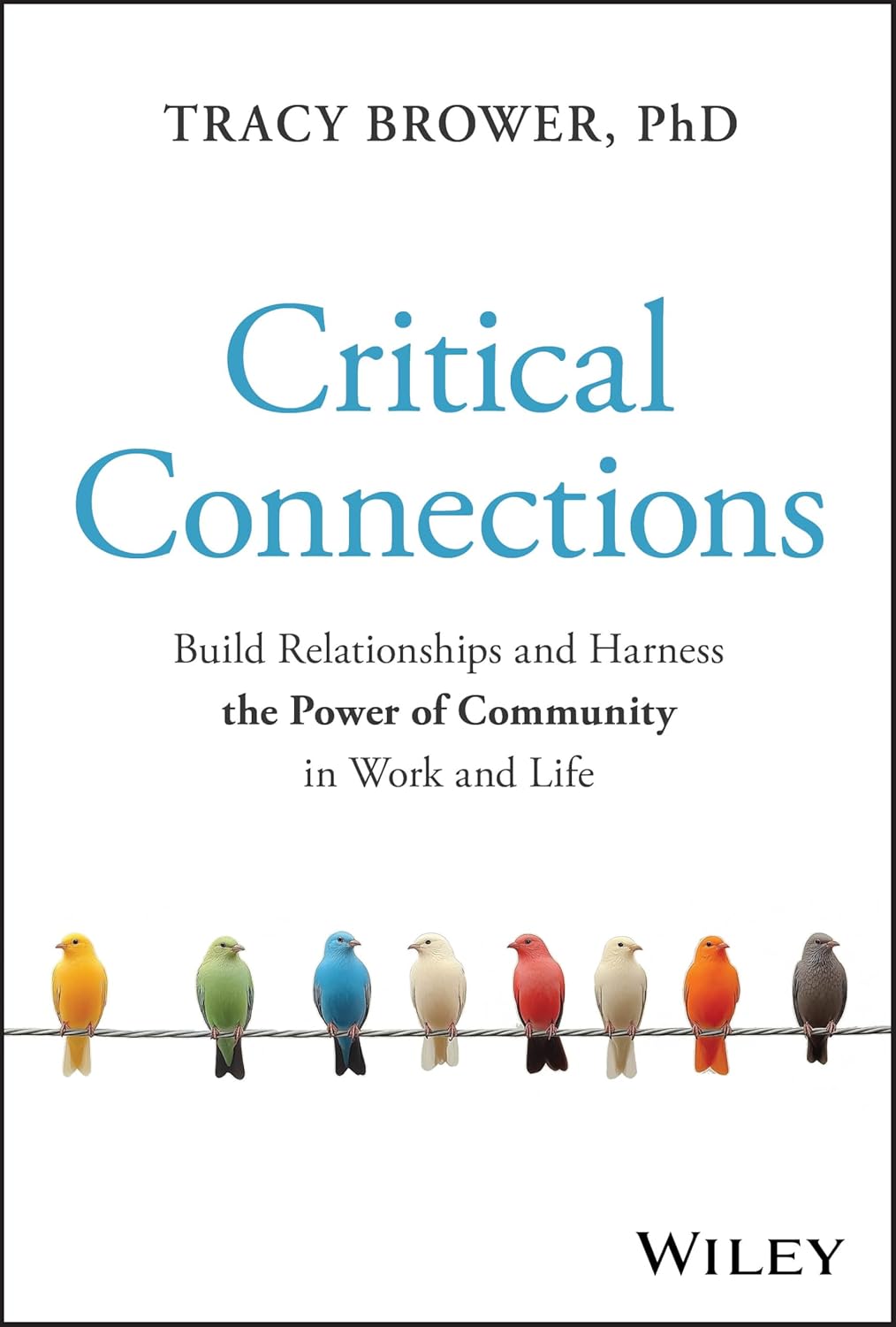 Critical Connections: Build Relationships and Harness the Power of Community in Work and Life