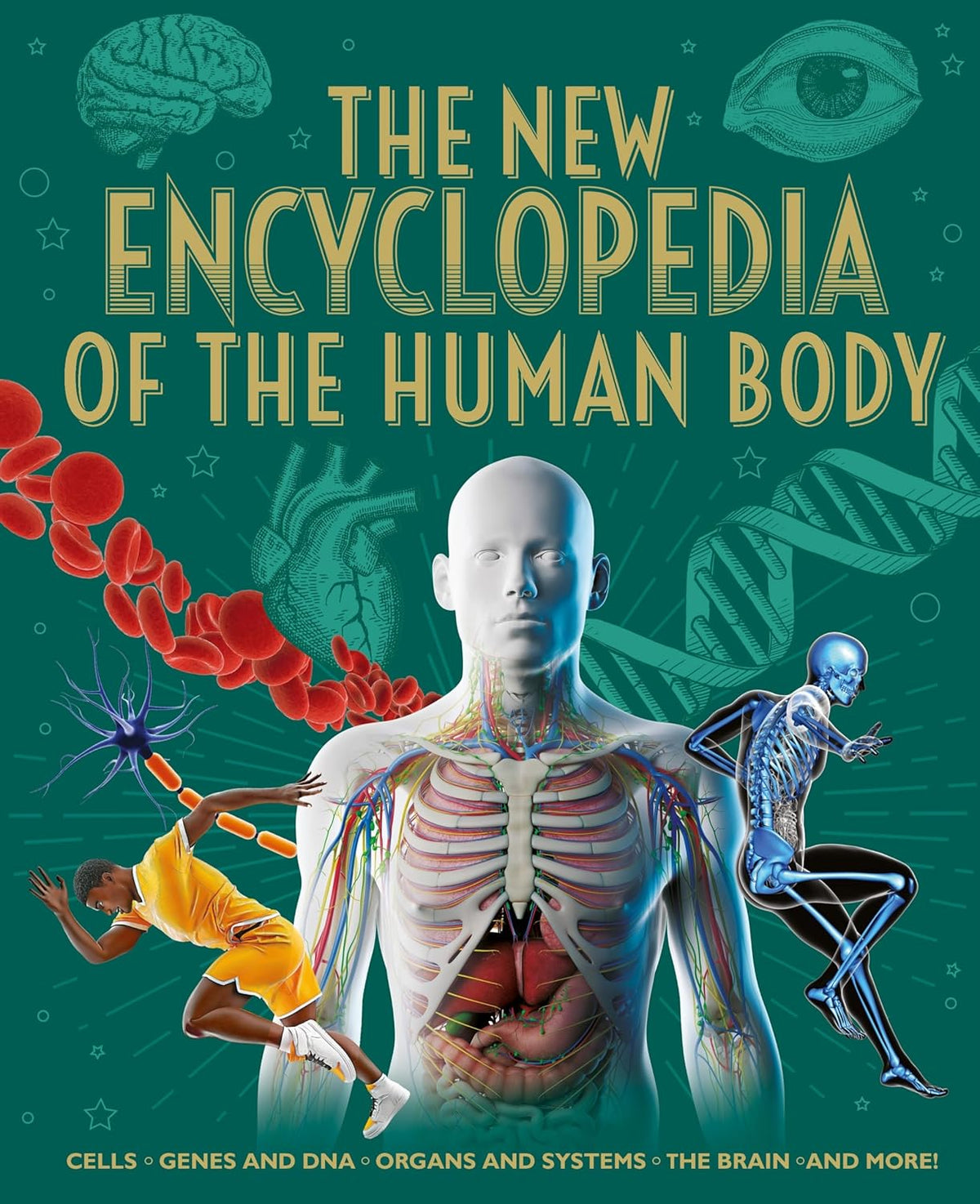 The New Encyclopedia of the Human Body: Cells, Genes and Dna, Organs and Systems, the Brain, and More!