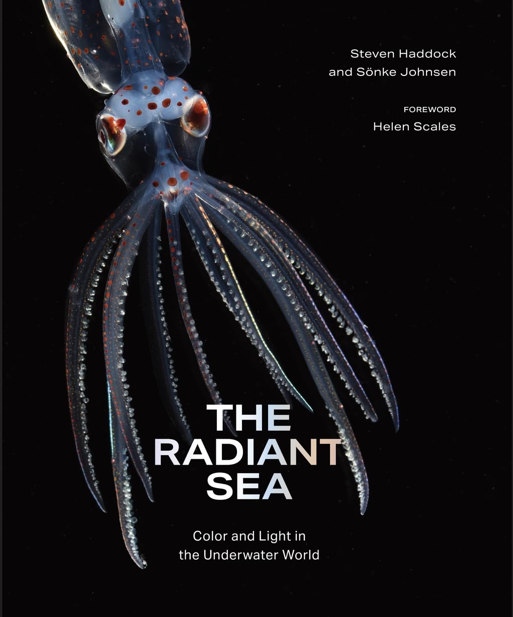 Radiant Sea: Color and Light in the Underwater World