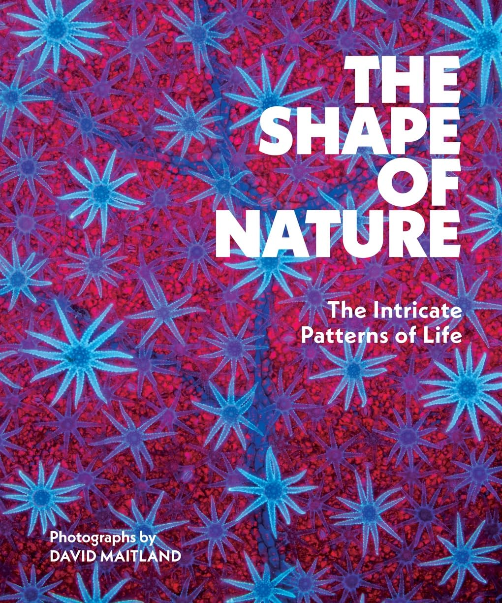 Shape of Nature: The Intricate Patterns of Life
