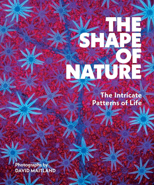 Shape of Nature: The Intricate Patterns of Life