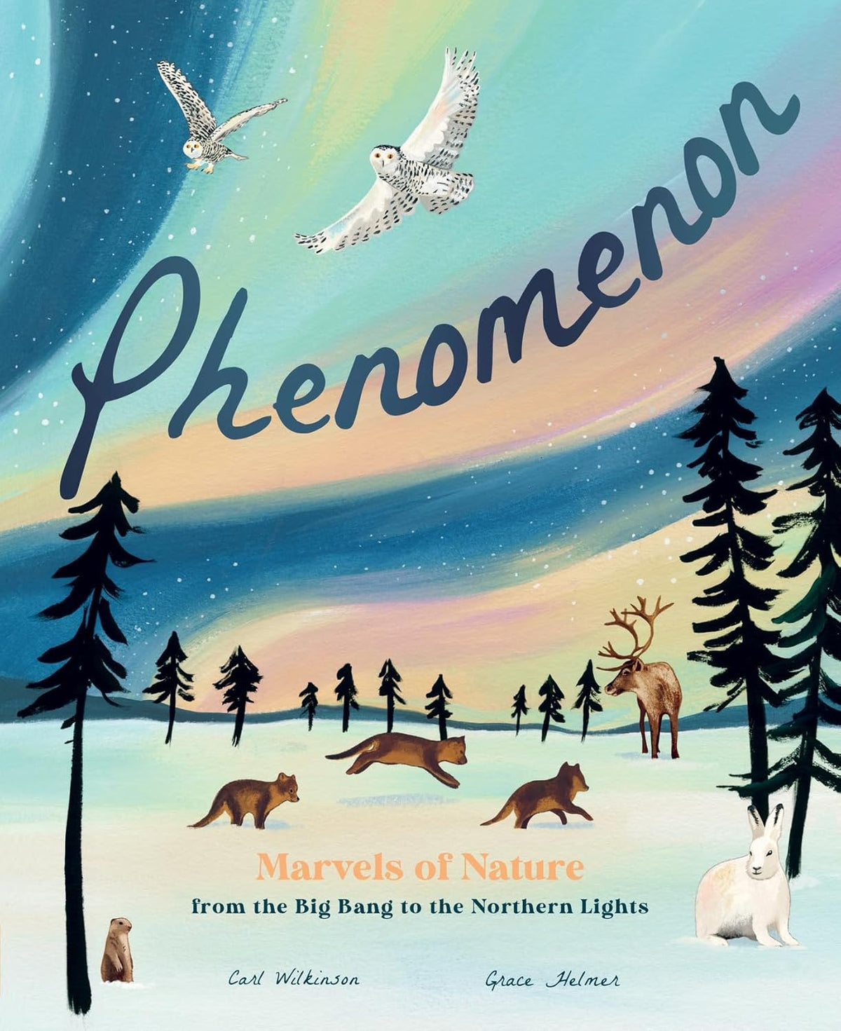 Phenomenon: Marvels of Nature from the Big Bang to the Northern Lights