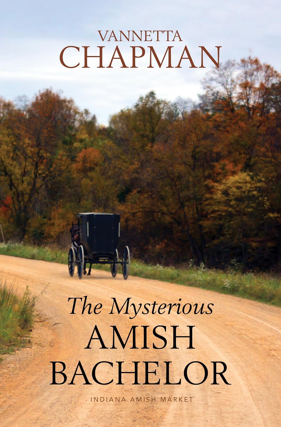 Mysterious Amish Bachelor