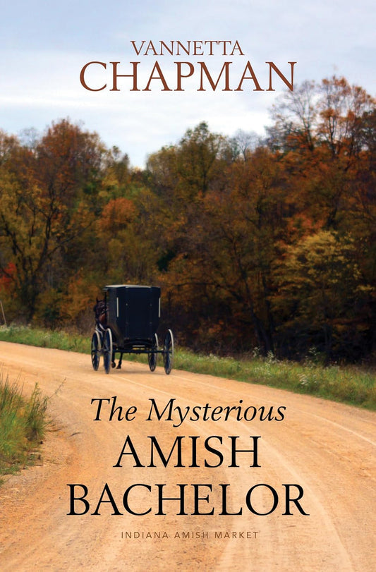 Mysterious Amish Bachelor