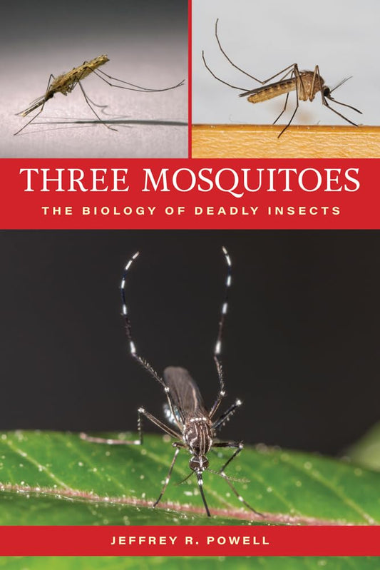 Three Mosquitoes The Biology of Deadly Insects