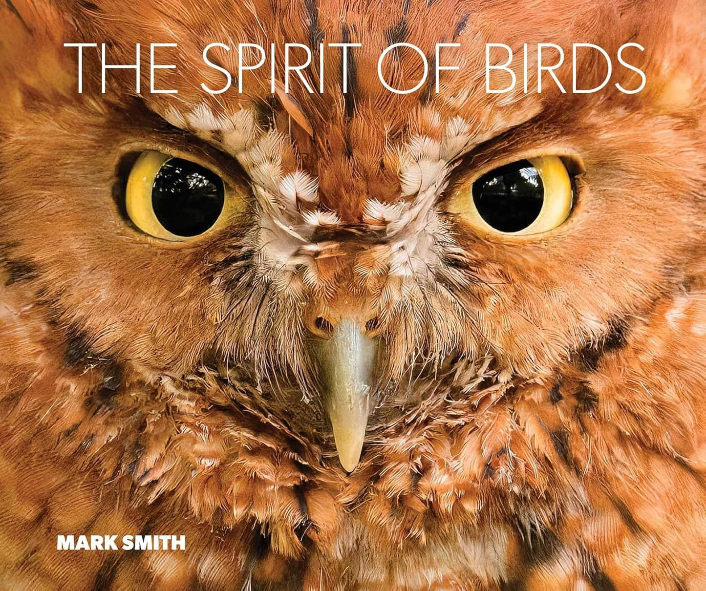 The Spirit of Birds