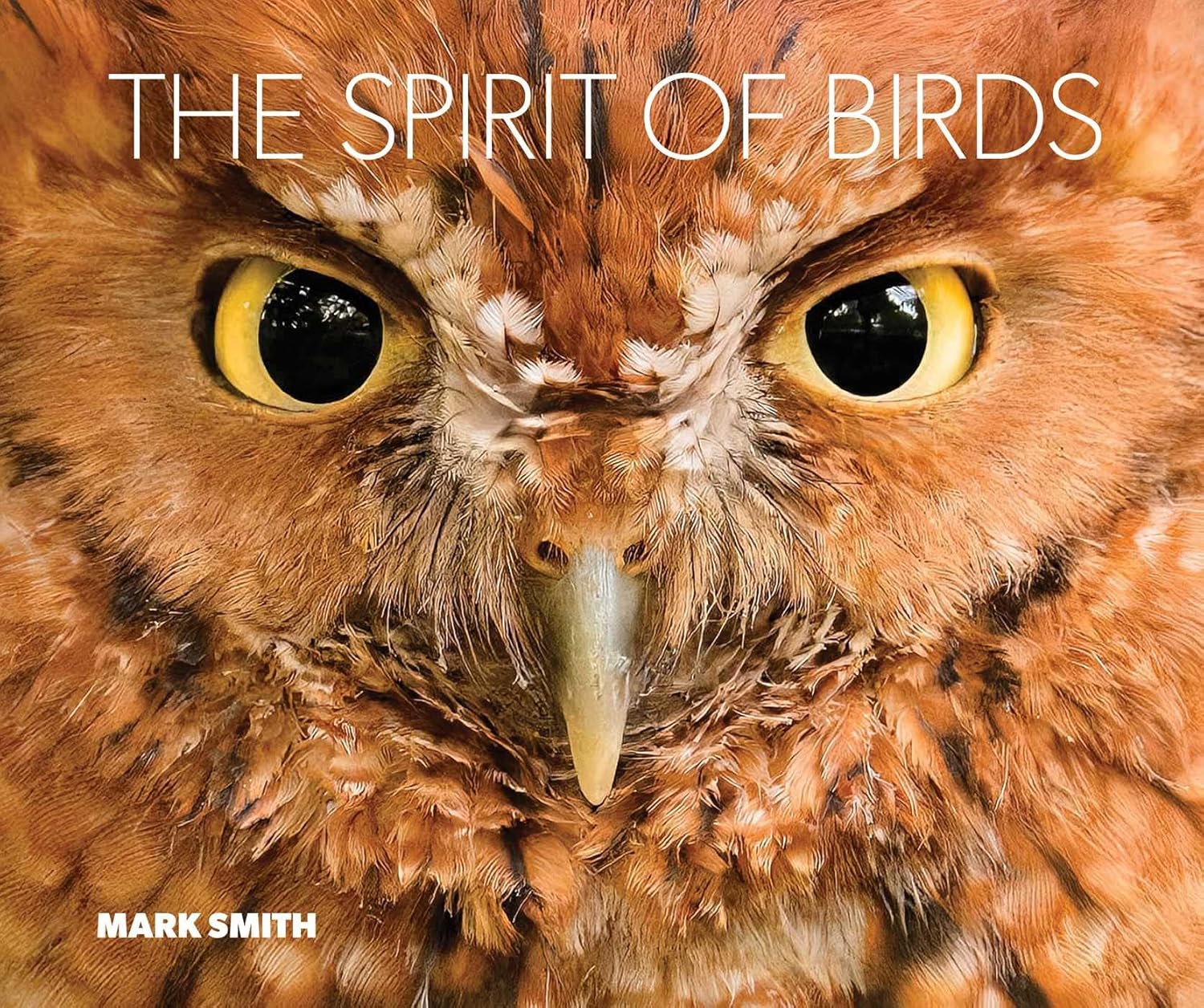 The Spirit of Birds