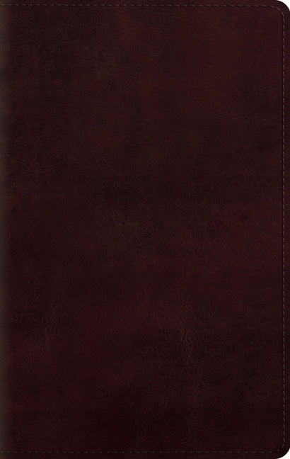 Large Print Personal Size Bible-ESV