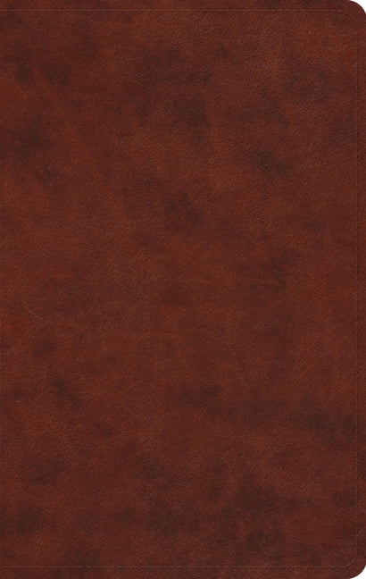 Large Print Value Thinline Bible-ESV