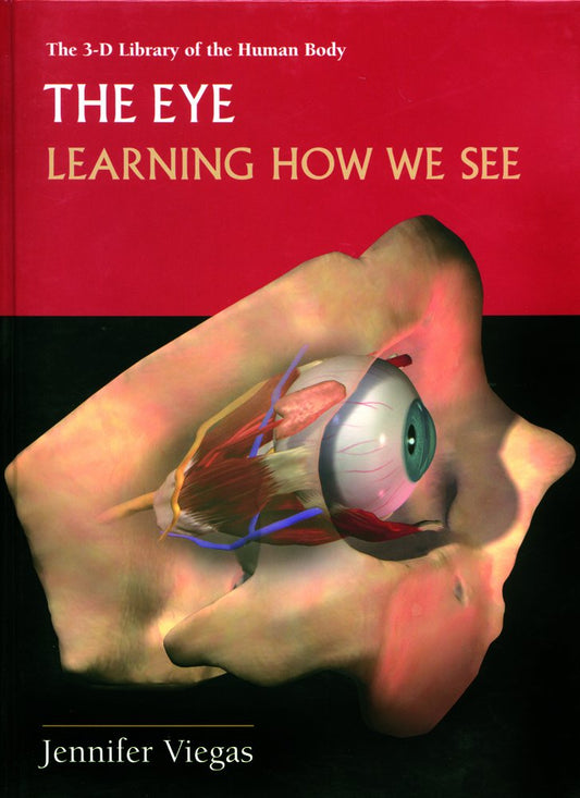 The Eye: Learning How to See