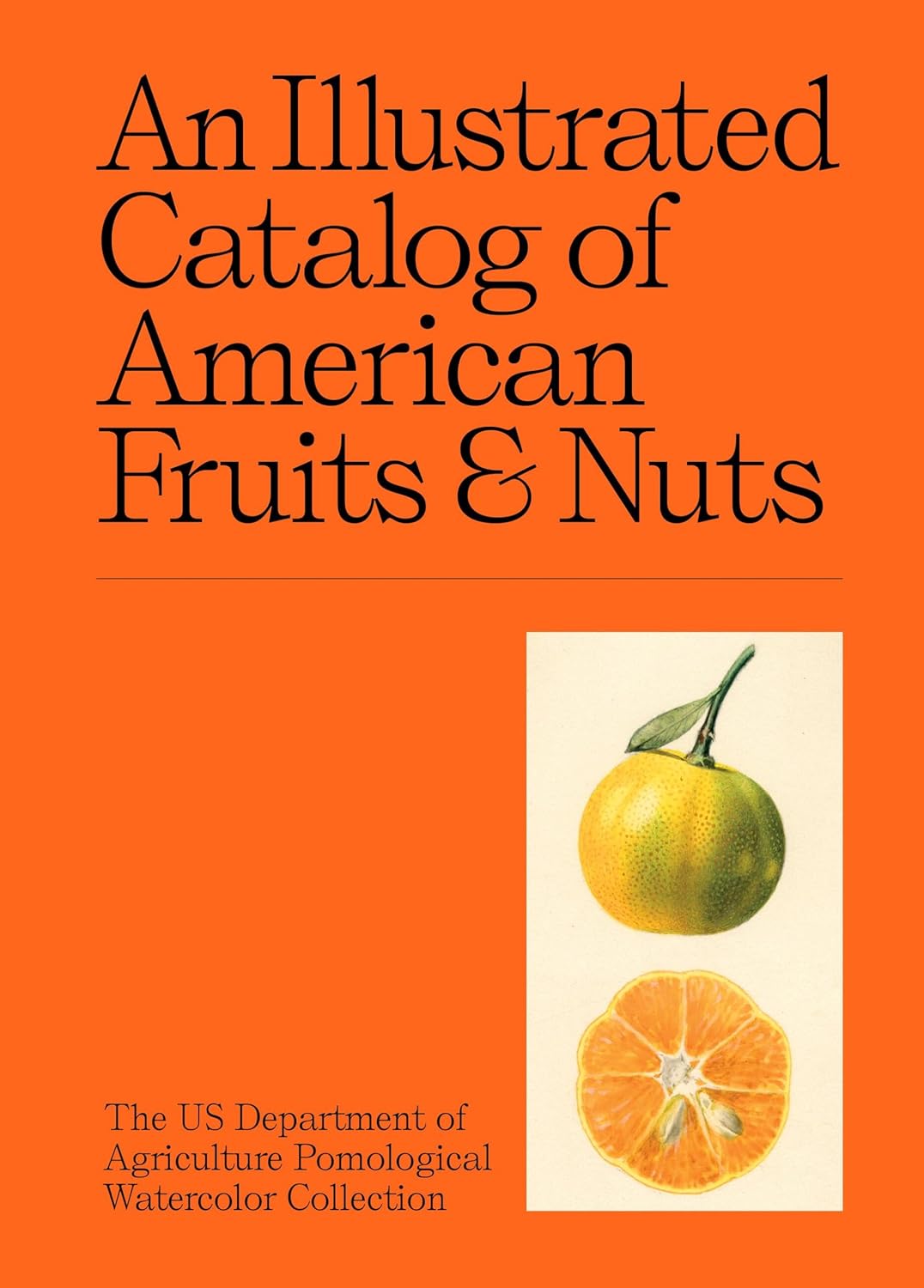 An Illustrated Catalog of American Fruits & Nuts