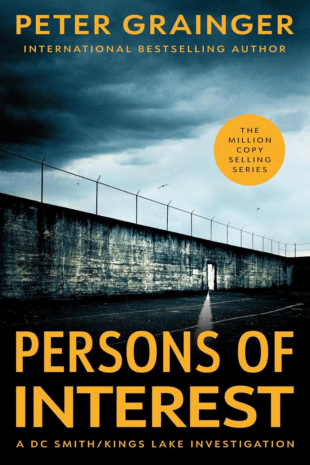 Persons of Interest: A Novel Volume 4