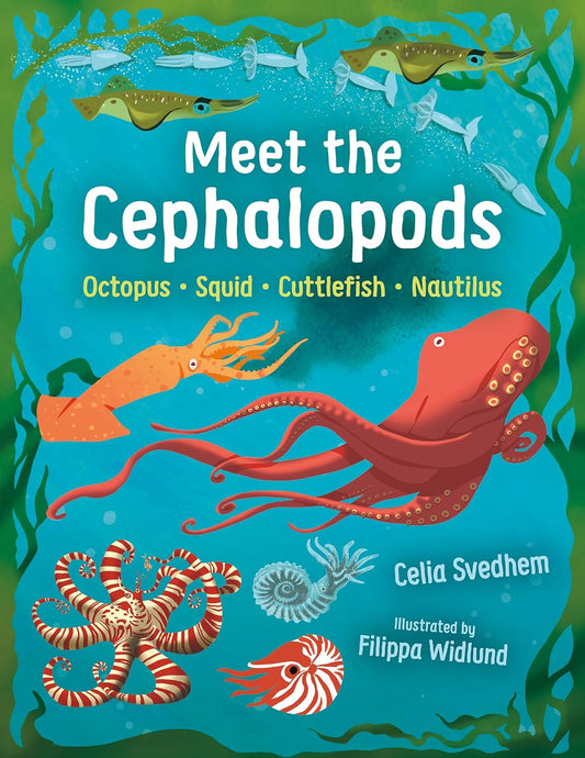 Meet the Cephalopods: Octopus, Squid, Cuttlefish, Nautilus