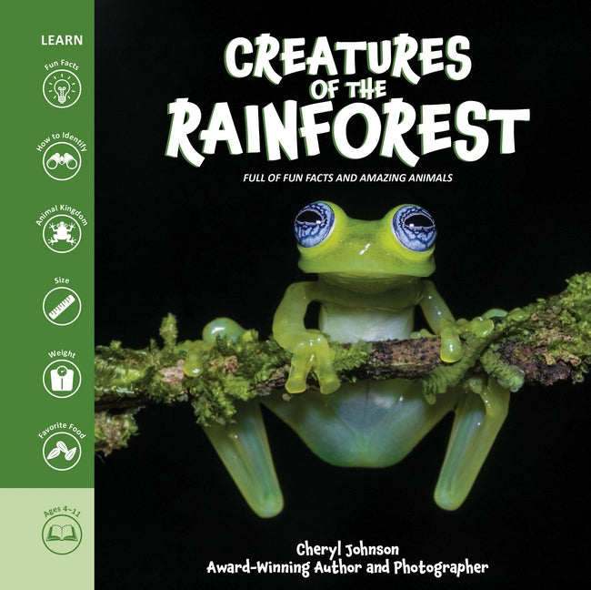 Creatures of the Rainforest